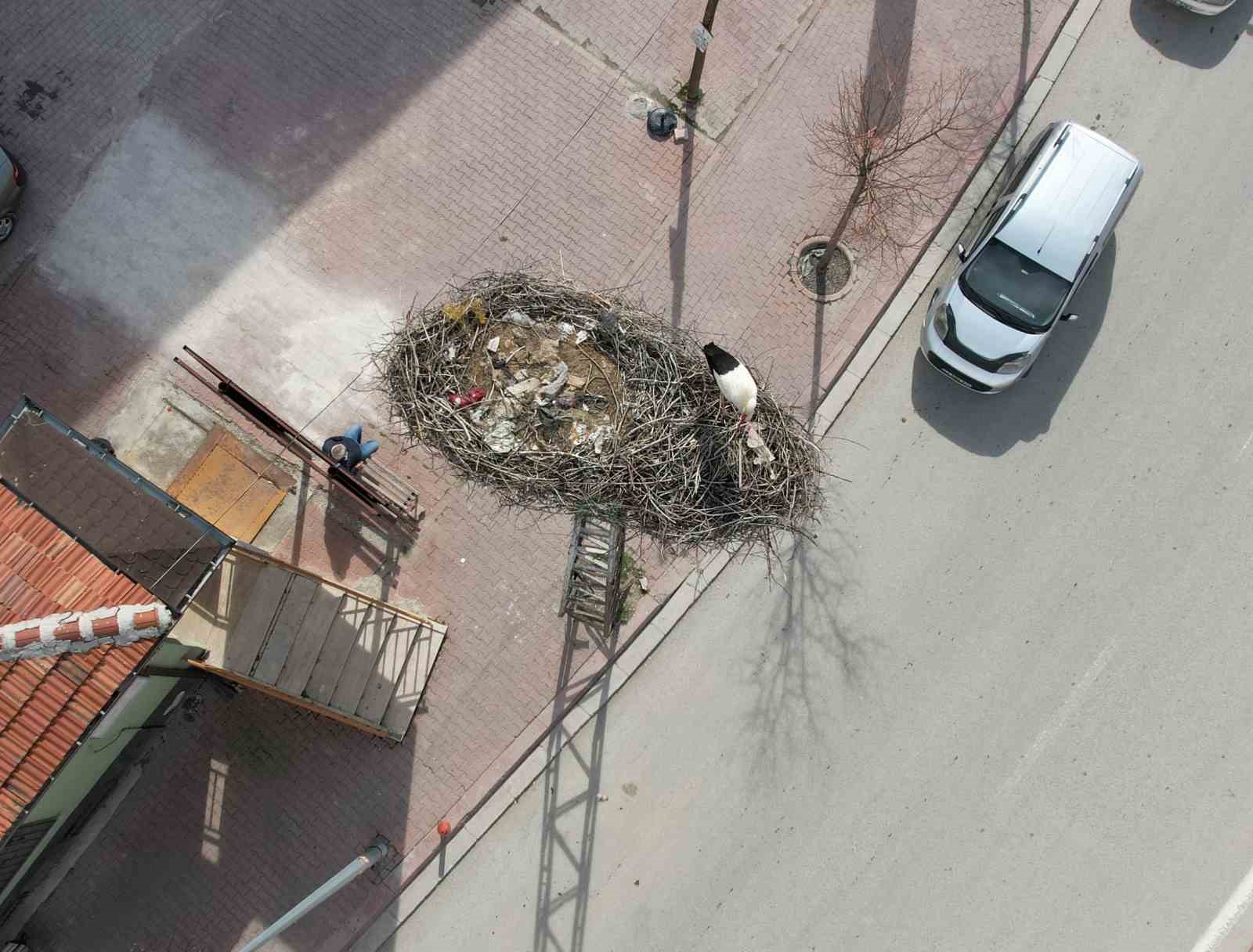 Konya’nın leylekleri direkteki yuvalarına geldi
