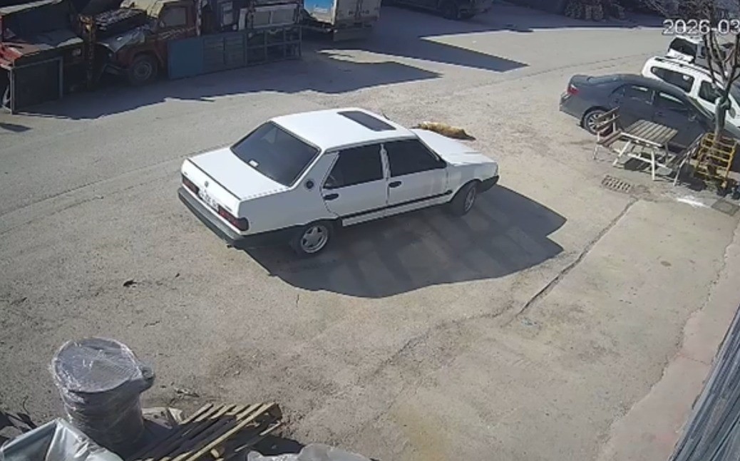 Köpeği ezen sürücü serbest bırakıldı
