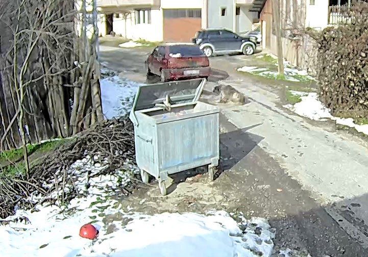 Köpeği ezen sürücü yakalandı
Köpeği ezen sürücü yakalandı