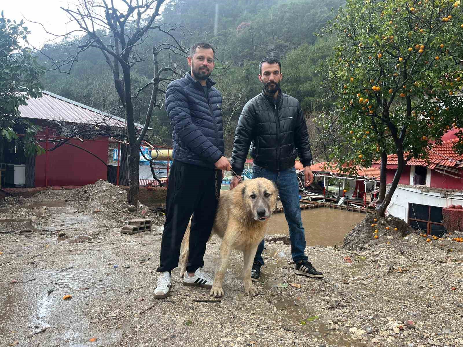 Köpeğini sel sularından kurtaran sahibi o anları anlattı

