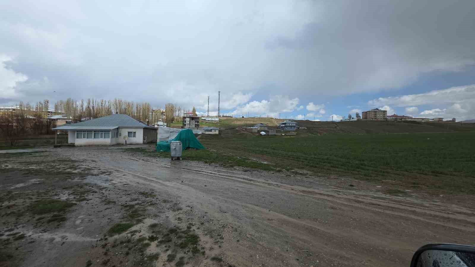 Köpek dehşetinin görüntüleri ortaya çıktı
