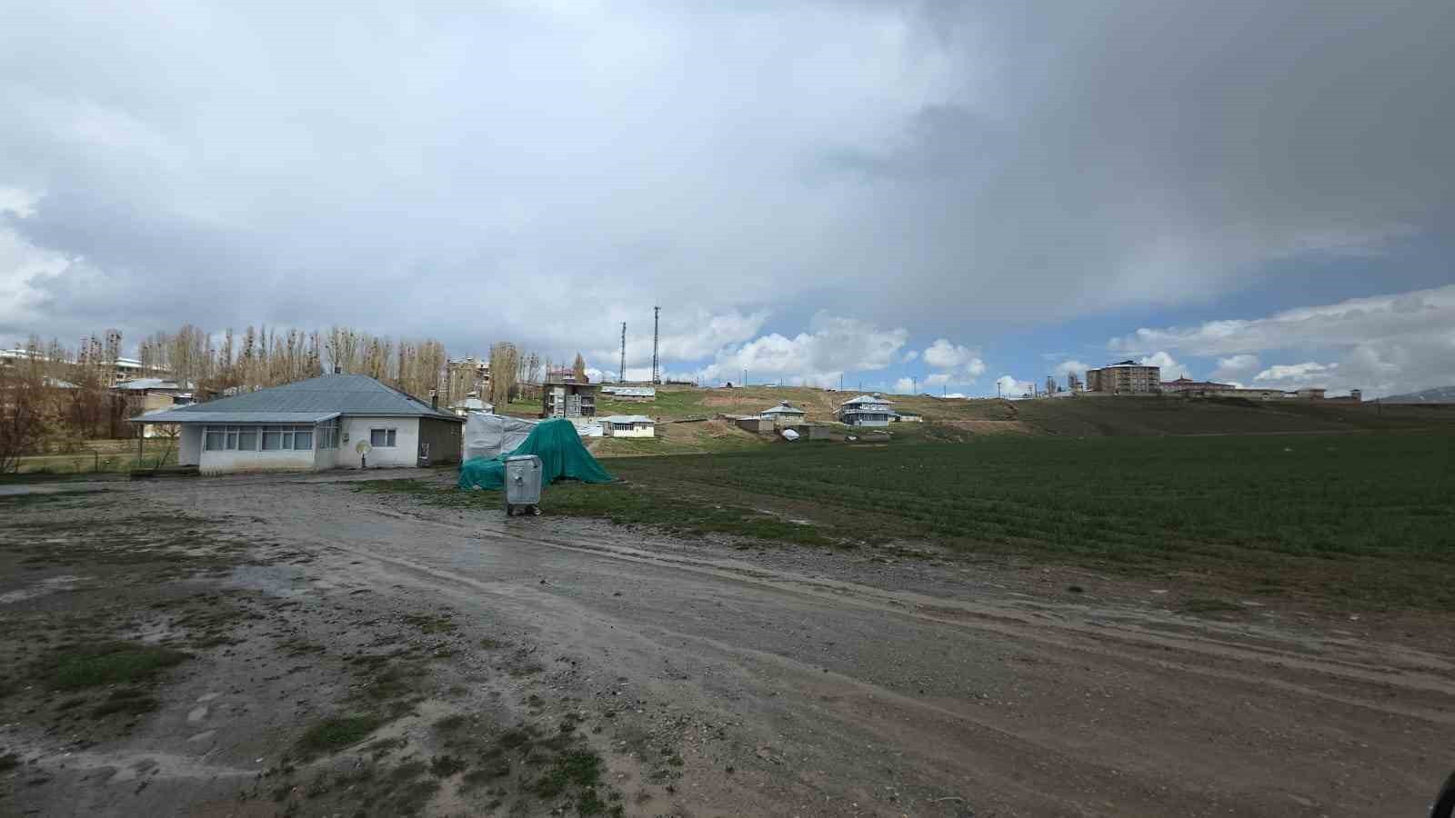 Köpek dehşetinin görüntüleri ortaya çıktı
