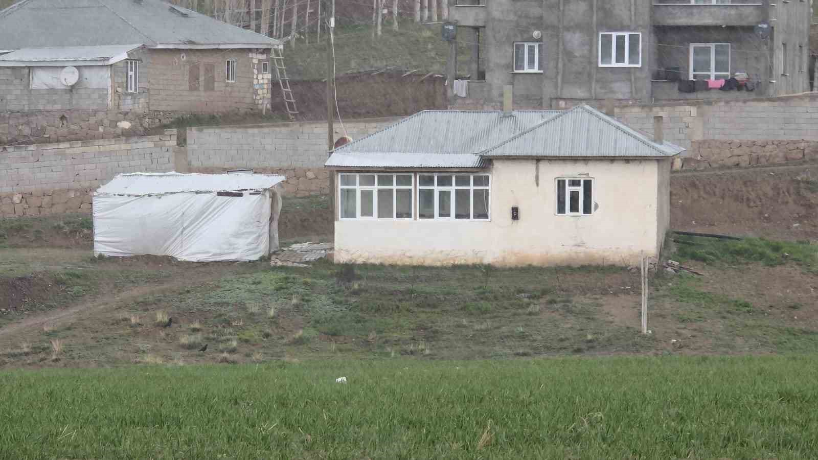 Köpek dehşetinin görüntüleri ortaya çıktı
