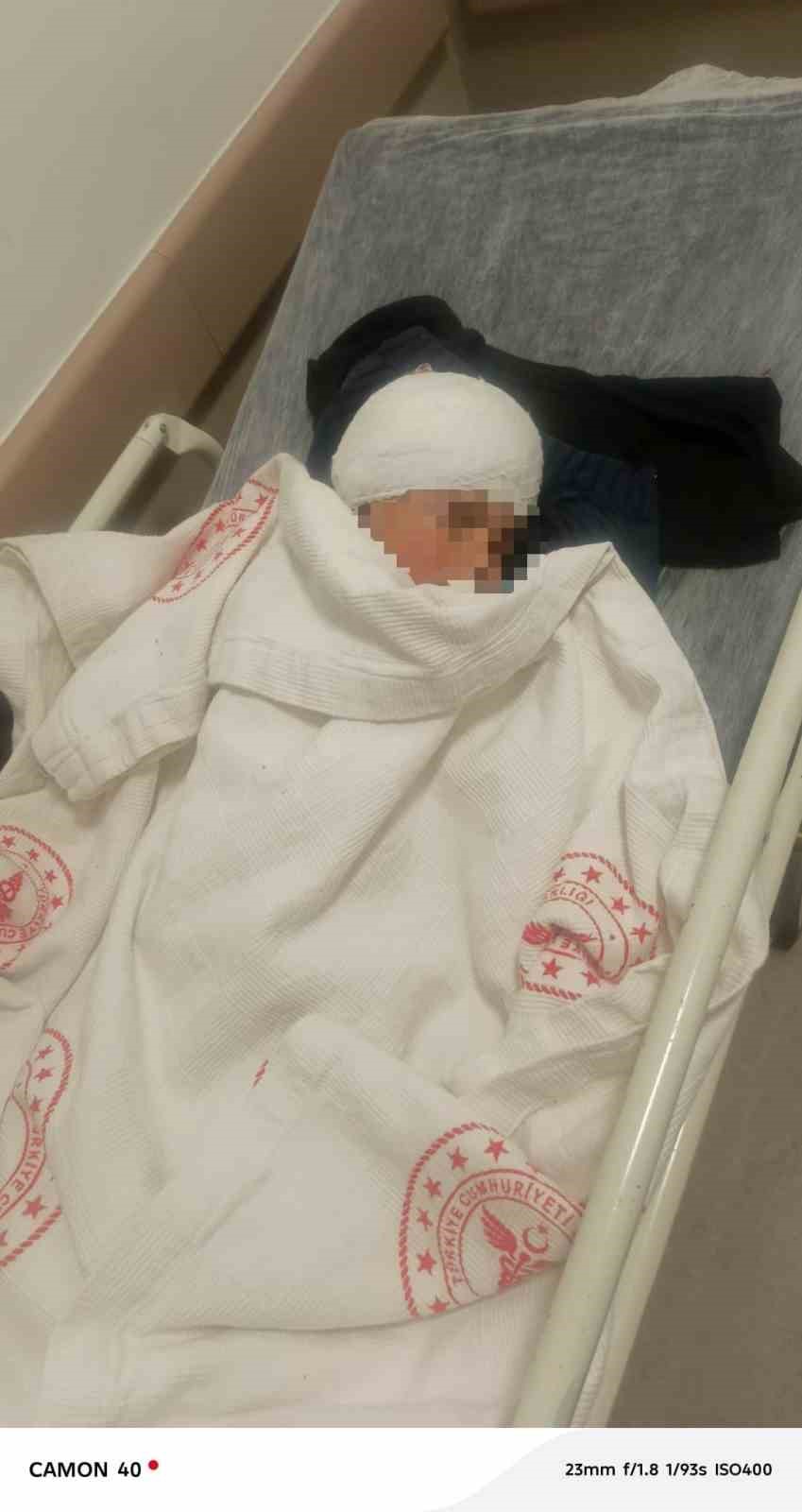 Köpek saldırısında yaralanan 3 yaşındaki bebek 34 gün sonra evine kavuştu
