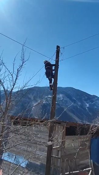 Köpeklerden korkup elektrik direğine çıkan kedi kurtarıldı
