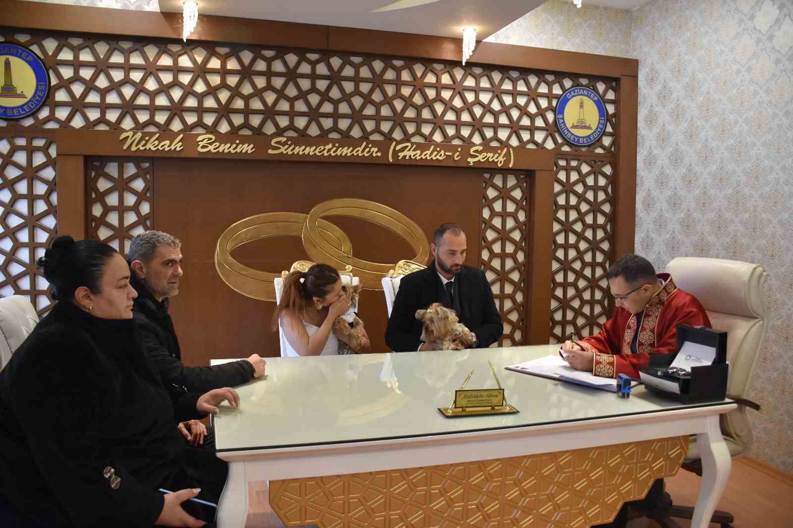 Köpekleriyle birlikte mutluluğa "evet" dediler
