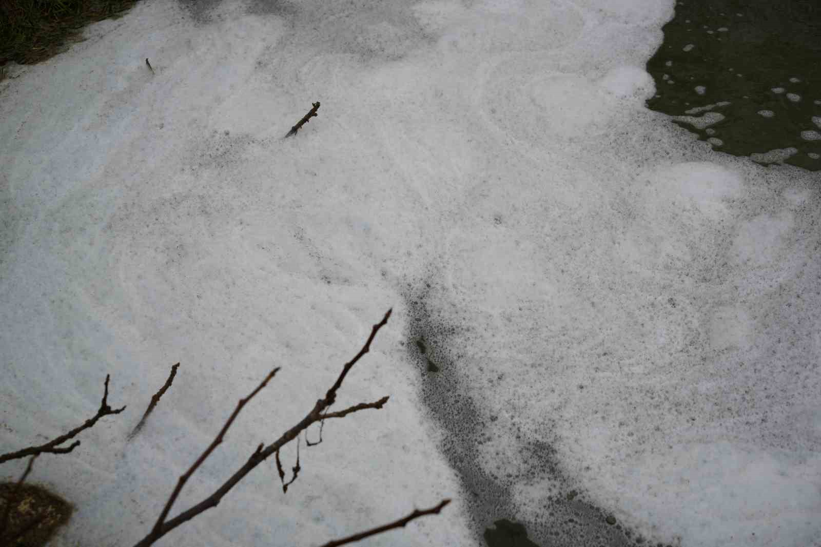 Köpüren dereden ağır kokular yükseliyor
