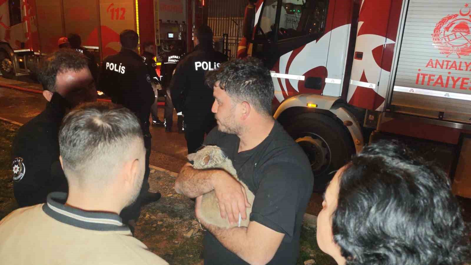Korkutan yangında mahsur kalan kediyi itfaiye kurtardı
