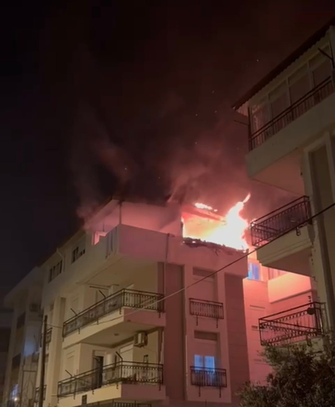 Korkutan yangında mahsur kalan kediyi itfaiye kurtardı
