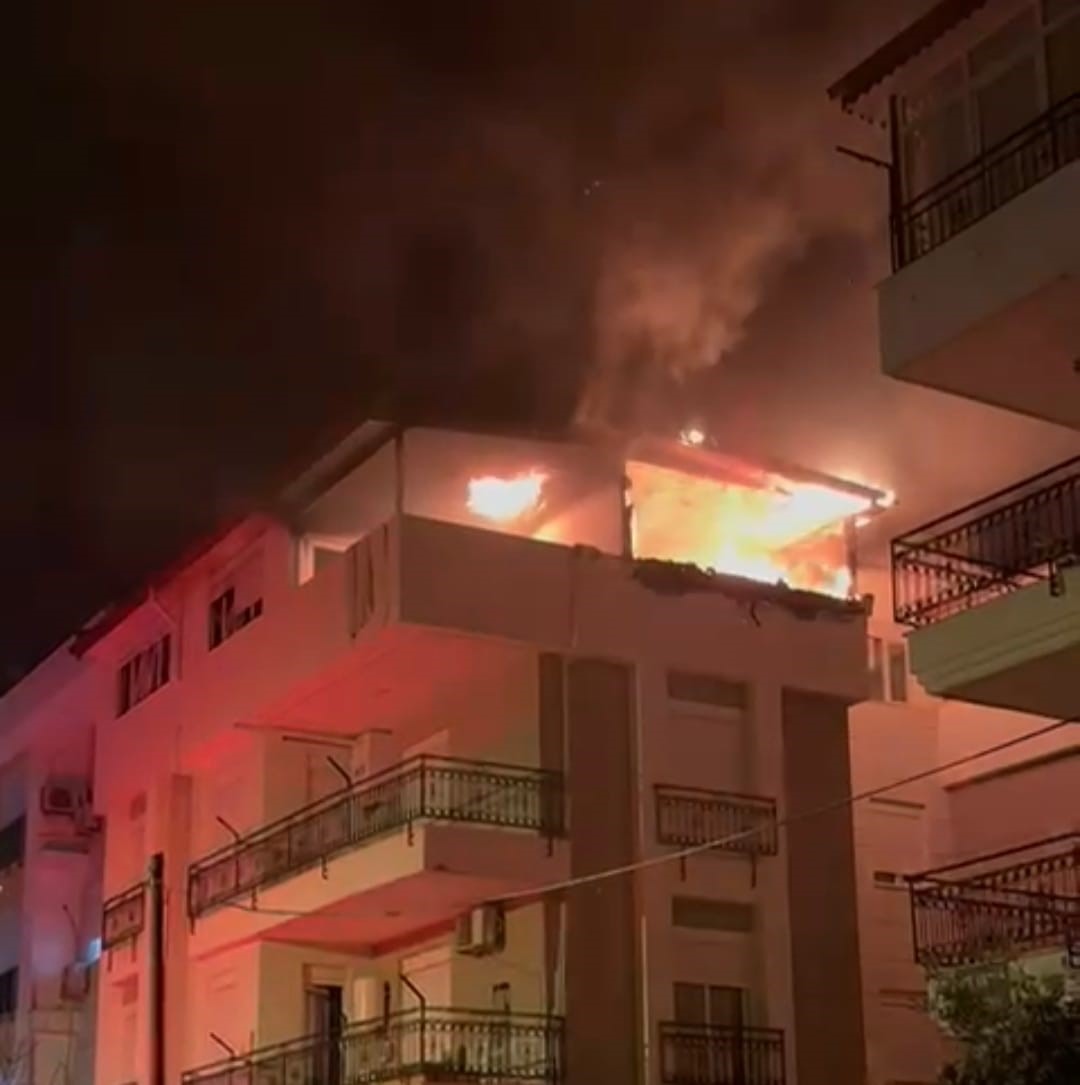 Korkutan yangında mahsur kalan kediyi itfaiye kurtardı
