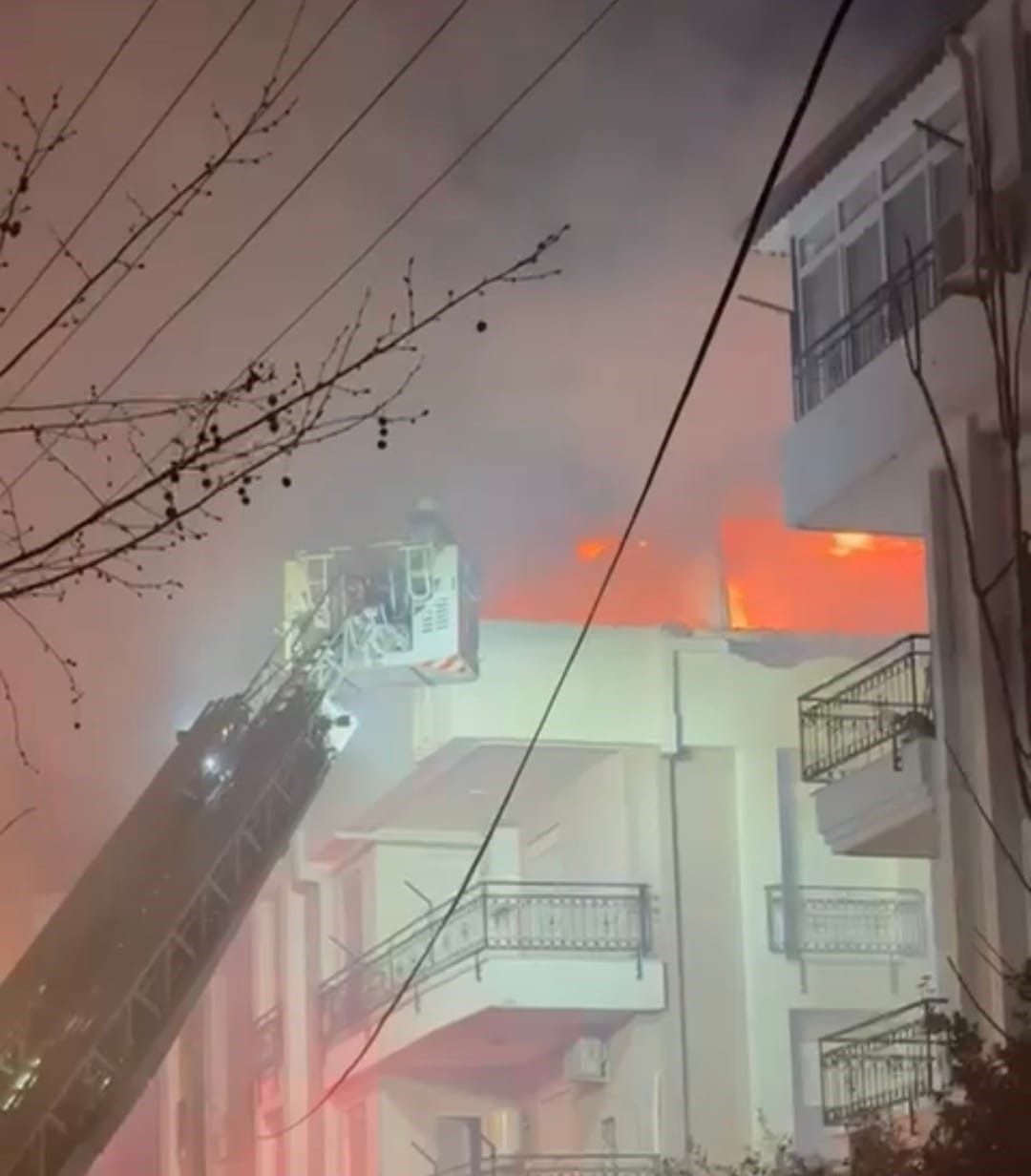 Korkutan yangında mahsur kalan kediyi itfaiye kurtardı
