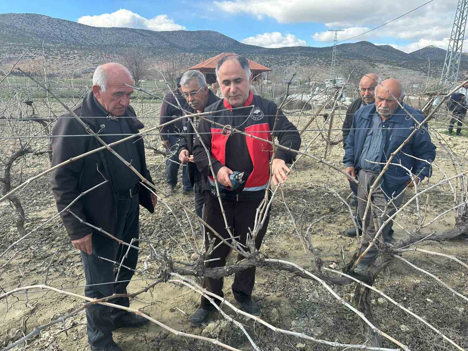 Korkuteli’nde çiftçilere budama eğitimi
