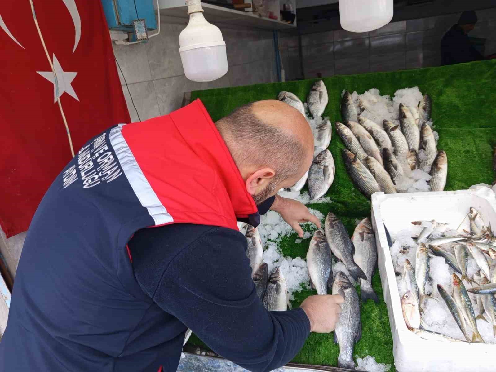 Köşk’te su ürünleri işletmeleri mercek altında
