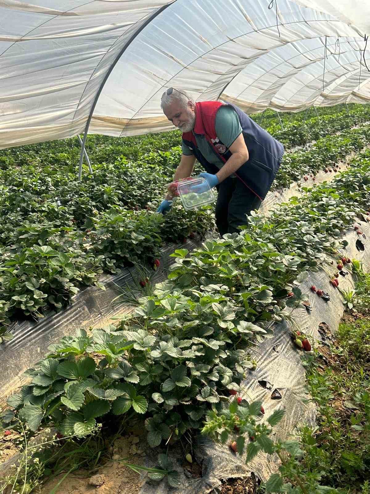 Köşk’ten Sultanhisar’a çapraz denetim
