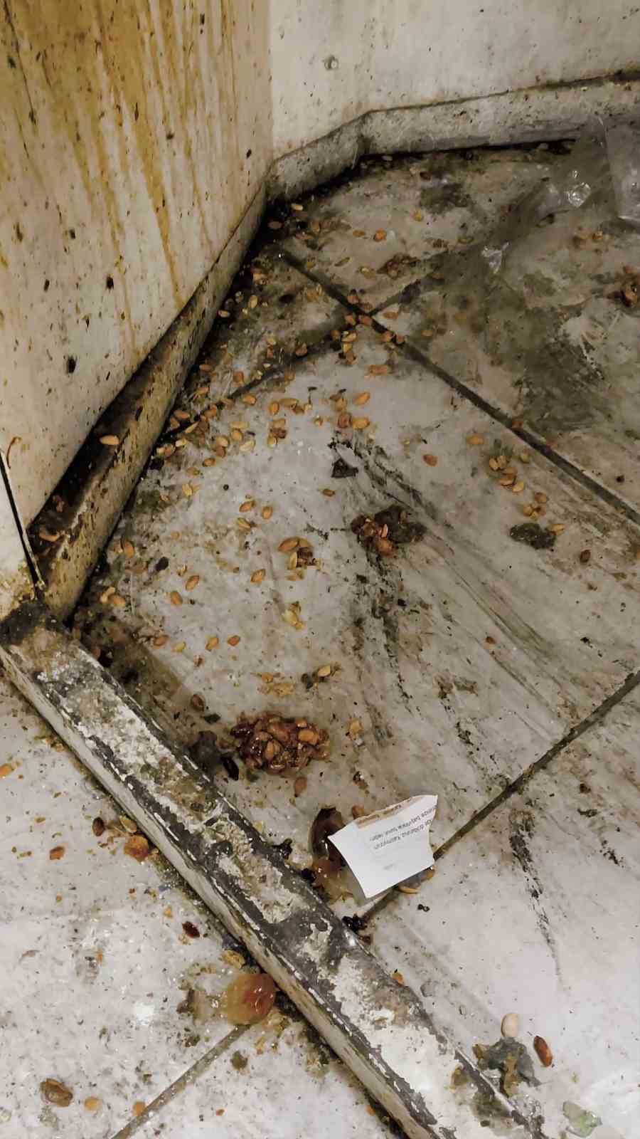 Kötü koku üzerine girilen evde mide bulandıran şartlarda lokum ve cezerye üretildiği ortaya çıktı
