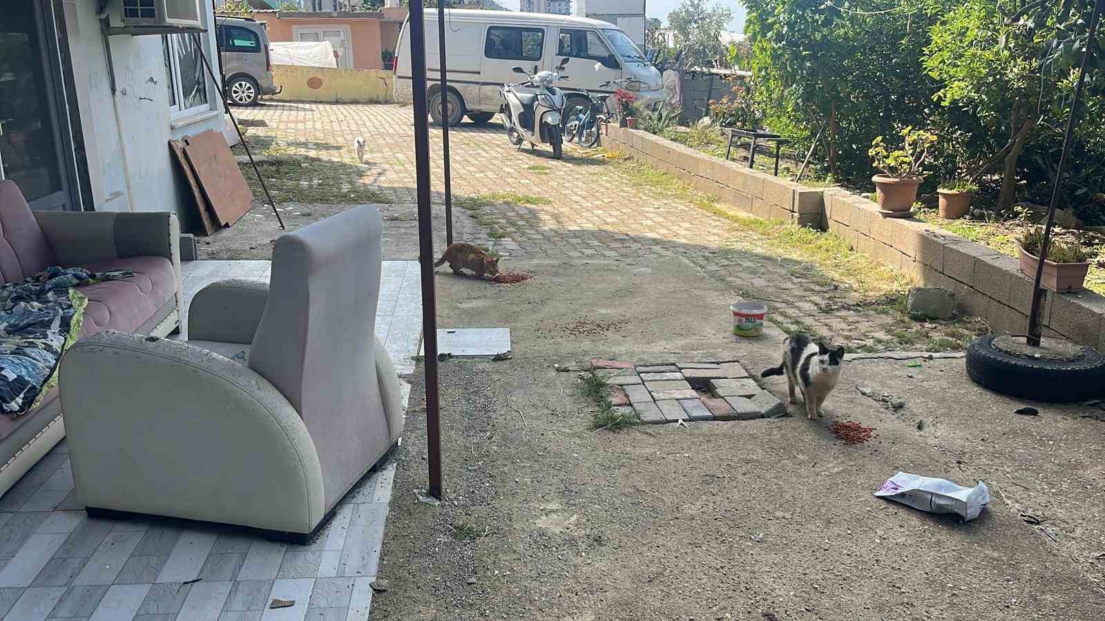 Kötü şartlarda evde tutulan hayvanlar, gençlerin tepkisi sonrası kurtarıldı
