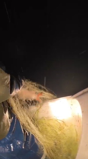 Kovada Gölü’nde yasa dışı avcılığa geçit yok: Kaçak avcılıkta kullanılan 7 çuval ağa el konulurken, balıklar tekrar göle salındı
