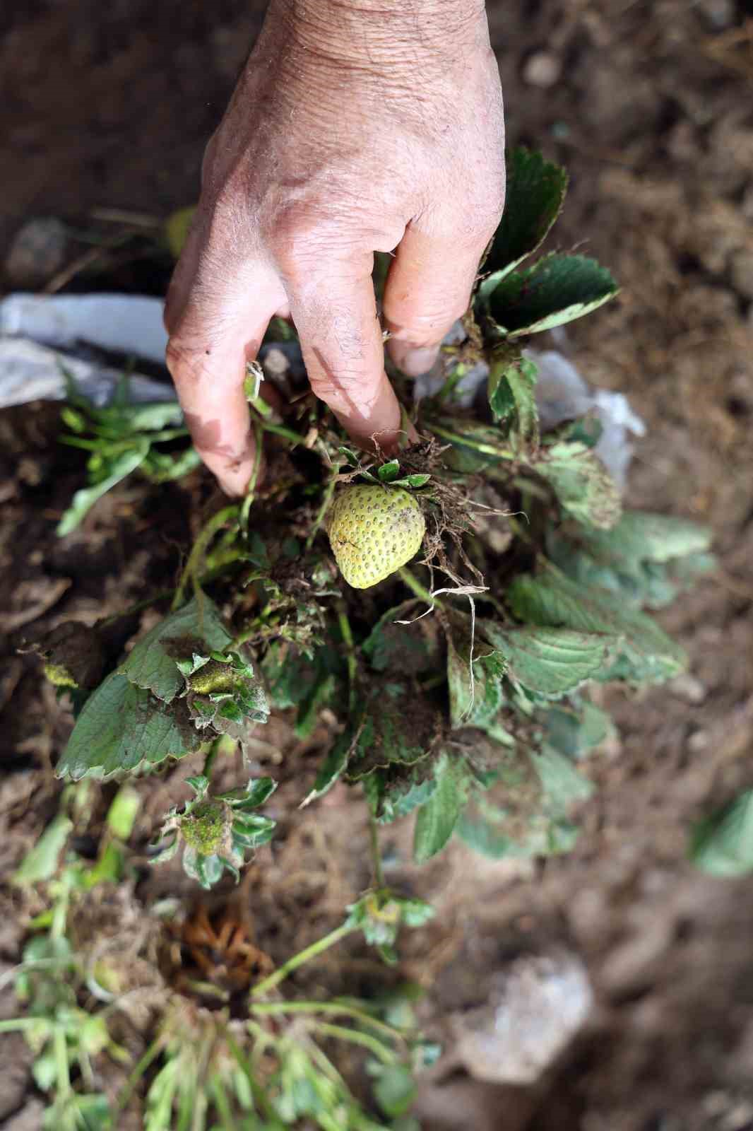Köyceğiz’de 3 günde metrekareye 158 kg yağış düştü
Köyceğiz’de 3 günde metrekareye 158 kg yağış düştü