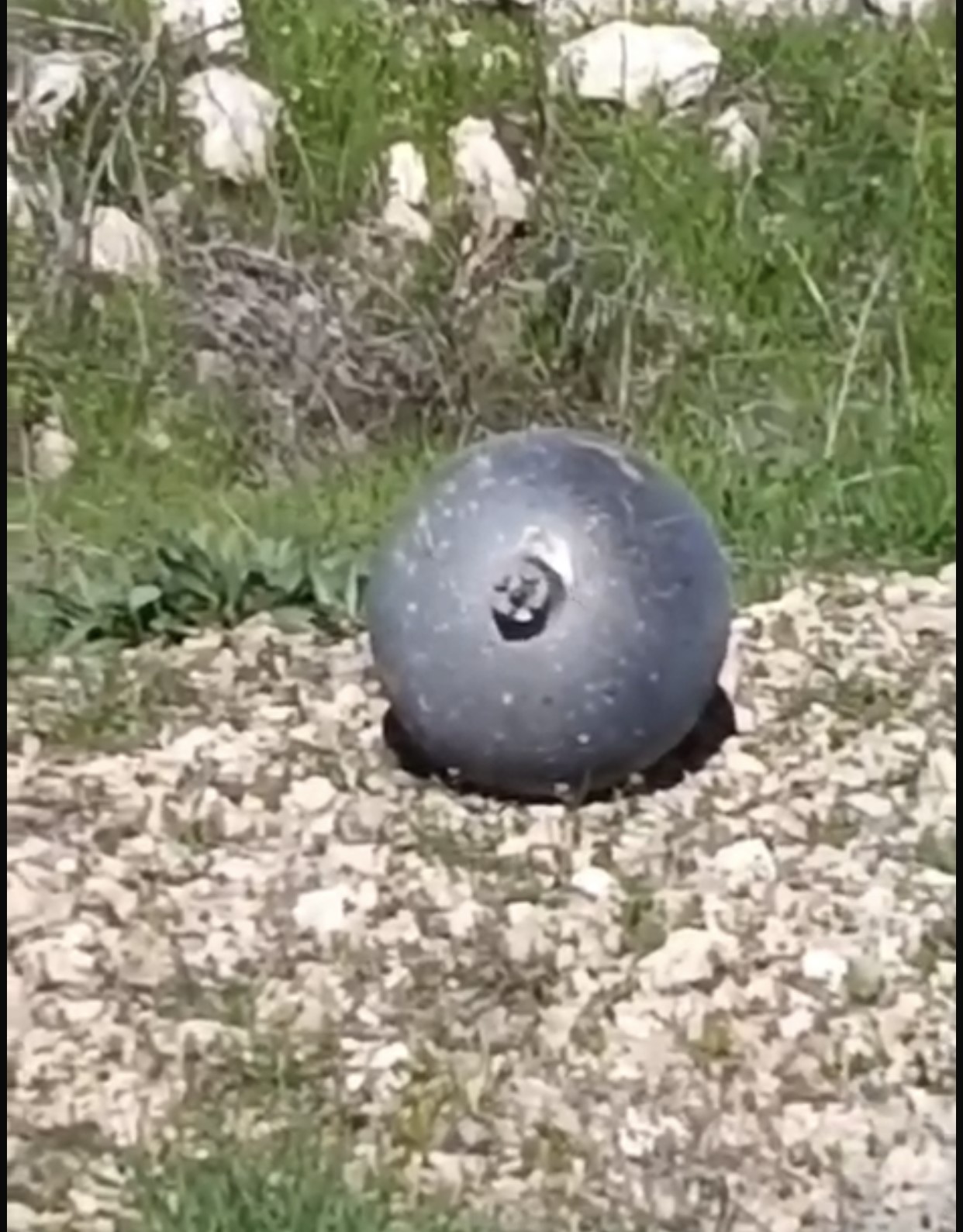 Köylülerin bulduğu cisim tedirgin etti
