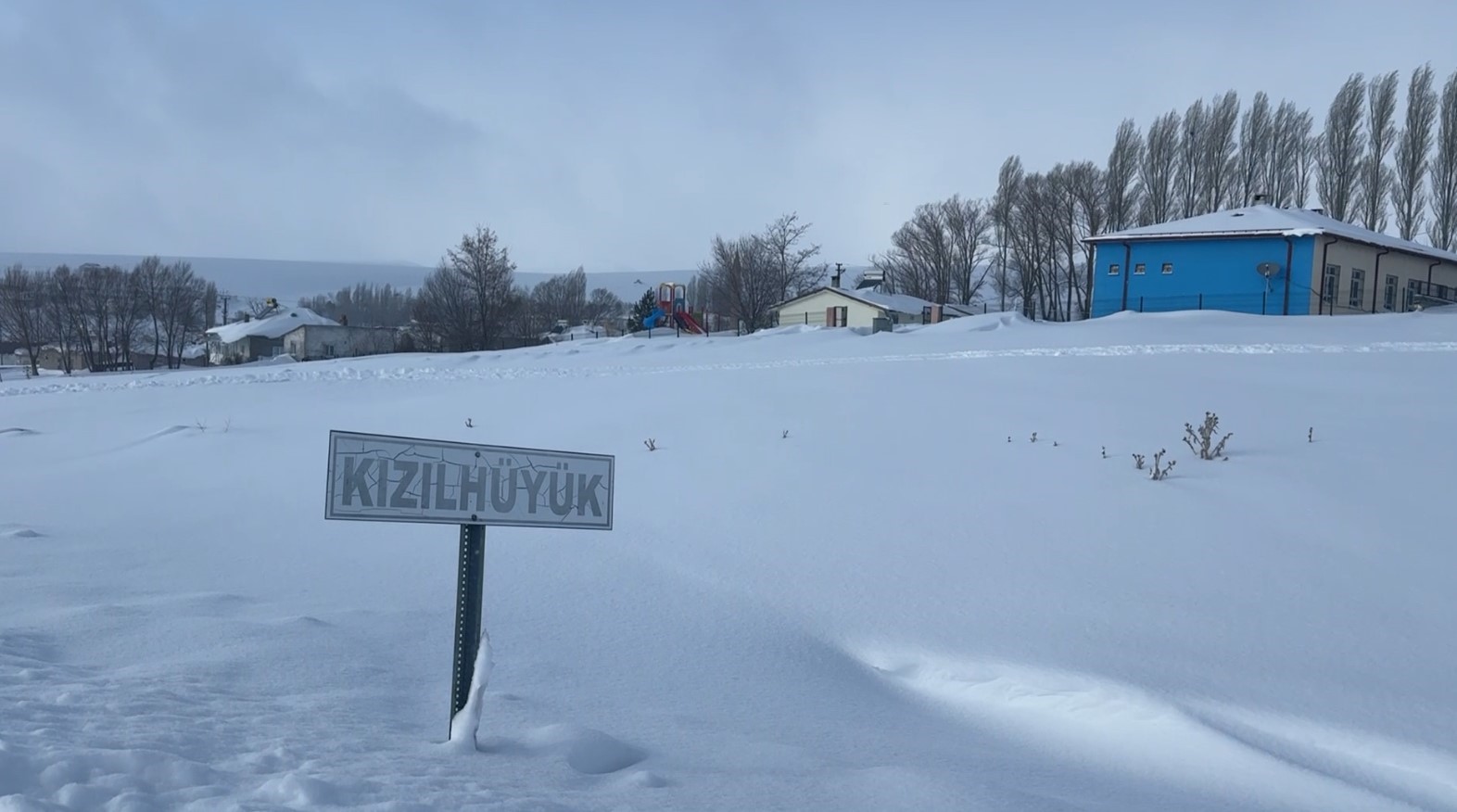 Köyün kâbusu olan kurtlar için araziye yiyecek bırakıldı
