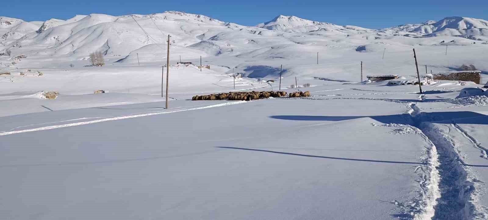 Koyunları için dondurucu soğukta yaylada kaldılar
