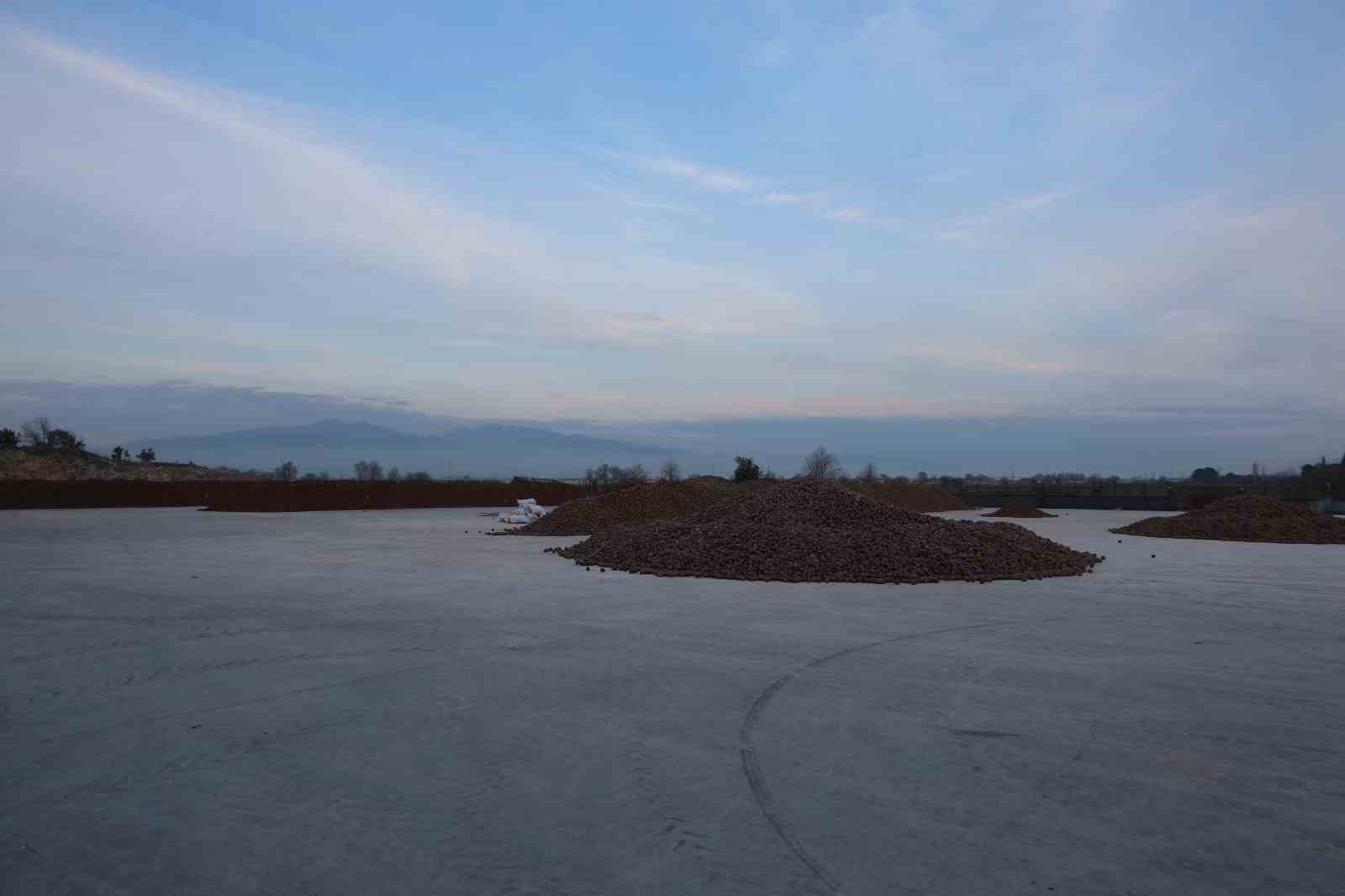 Kozalak işleme tesislerinde yoğun mesai dönemi
