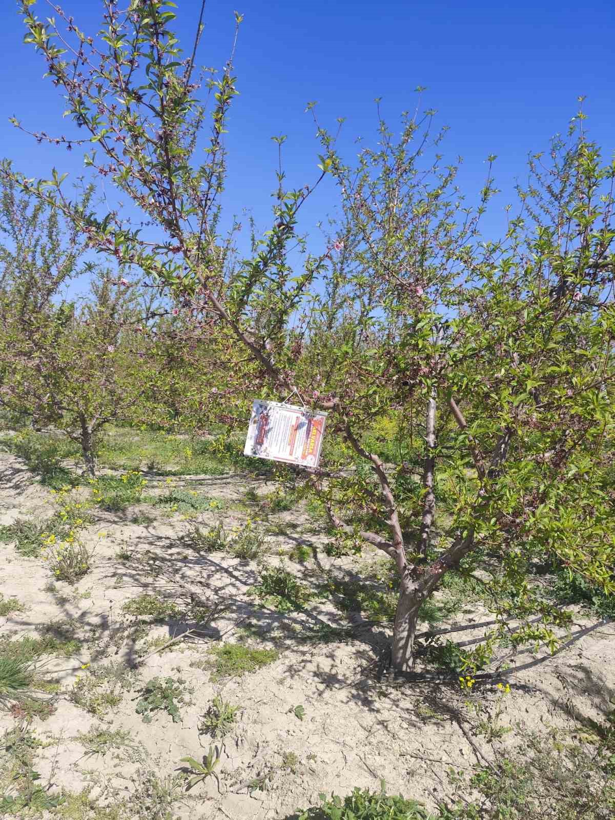 Kozan’da arıların korunmasına yönelik çalışma başlatıldı
