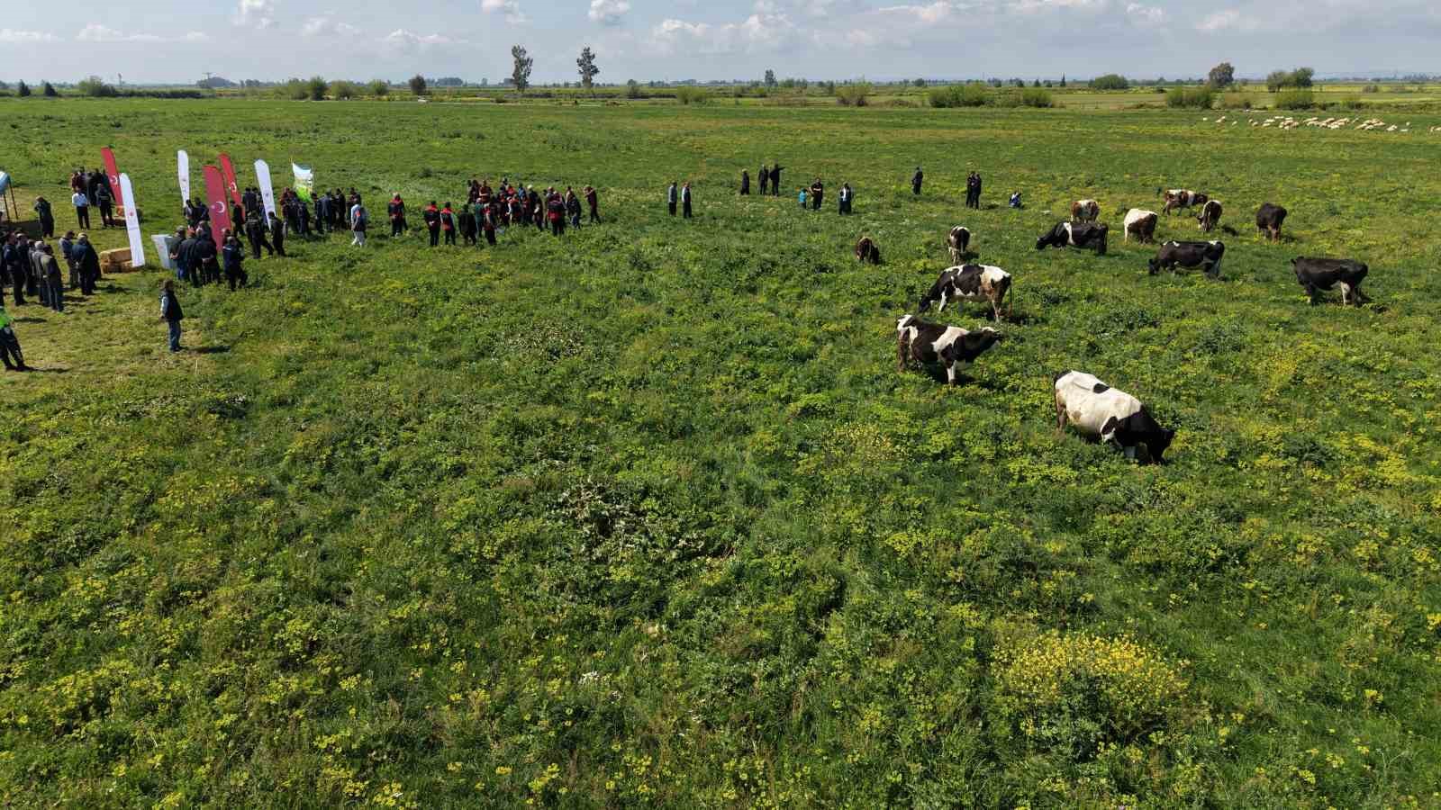 Kozan’da ıslah edilen mera alanı dualarla açıldı, sürüler alanda otlamaya başladı
