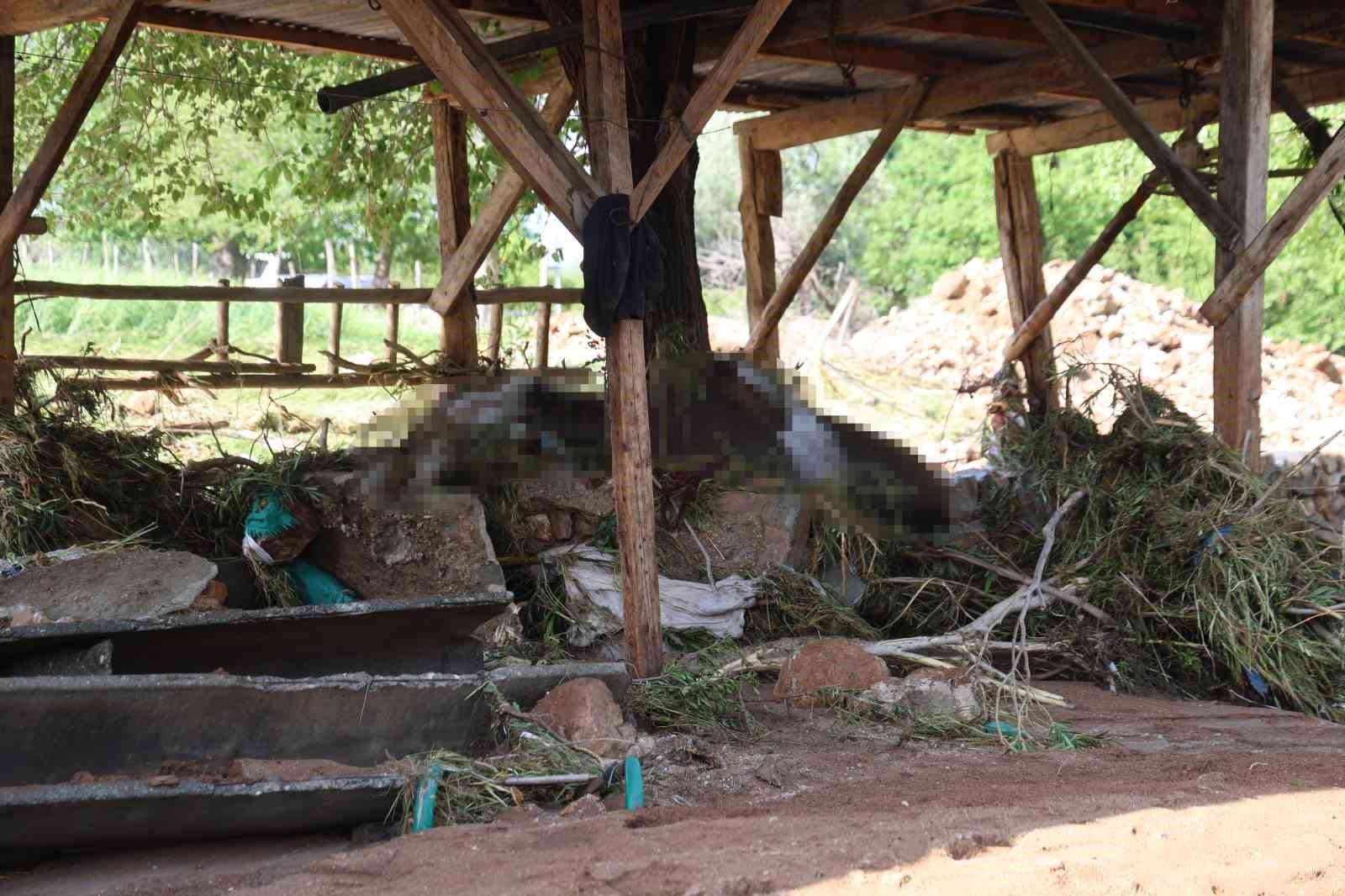 Kozan’daki selde hayvanları telef olan kadın: "Bir anda sel geldi, ahırın üstünü aştı"

