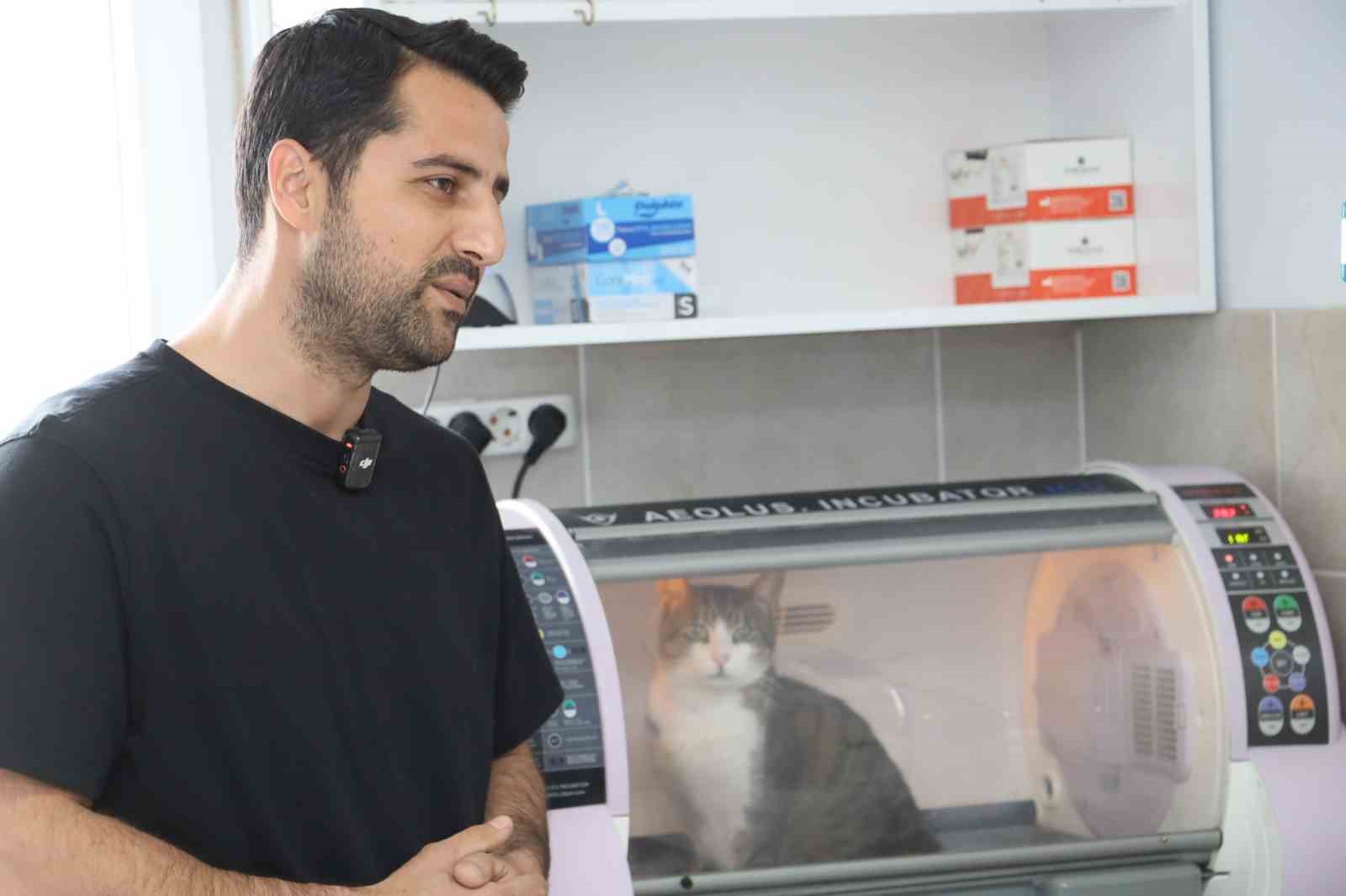 Kral ölümden döndü, zorlu ameliyat başarıyla tamamlandı
