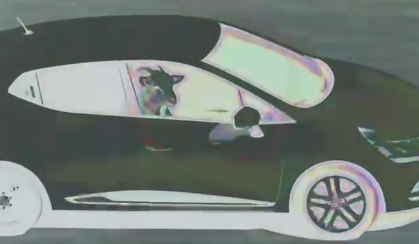 Küçükbaş hayvan hırsızlığı yapan 3 şüpheli tutuklandı
