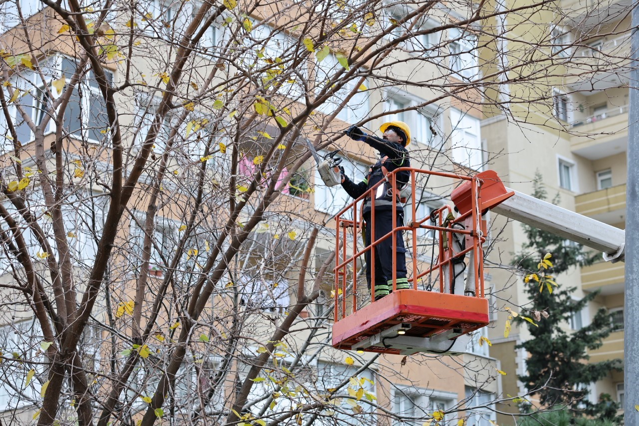 Küçükçekmece’de budanan ağaçlar, ihtiyaç sahiplerine yakacak oluyor

