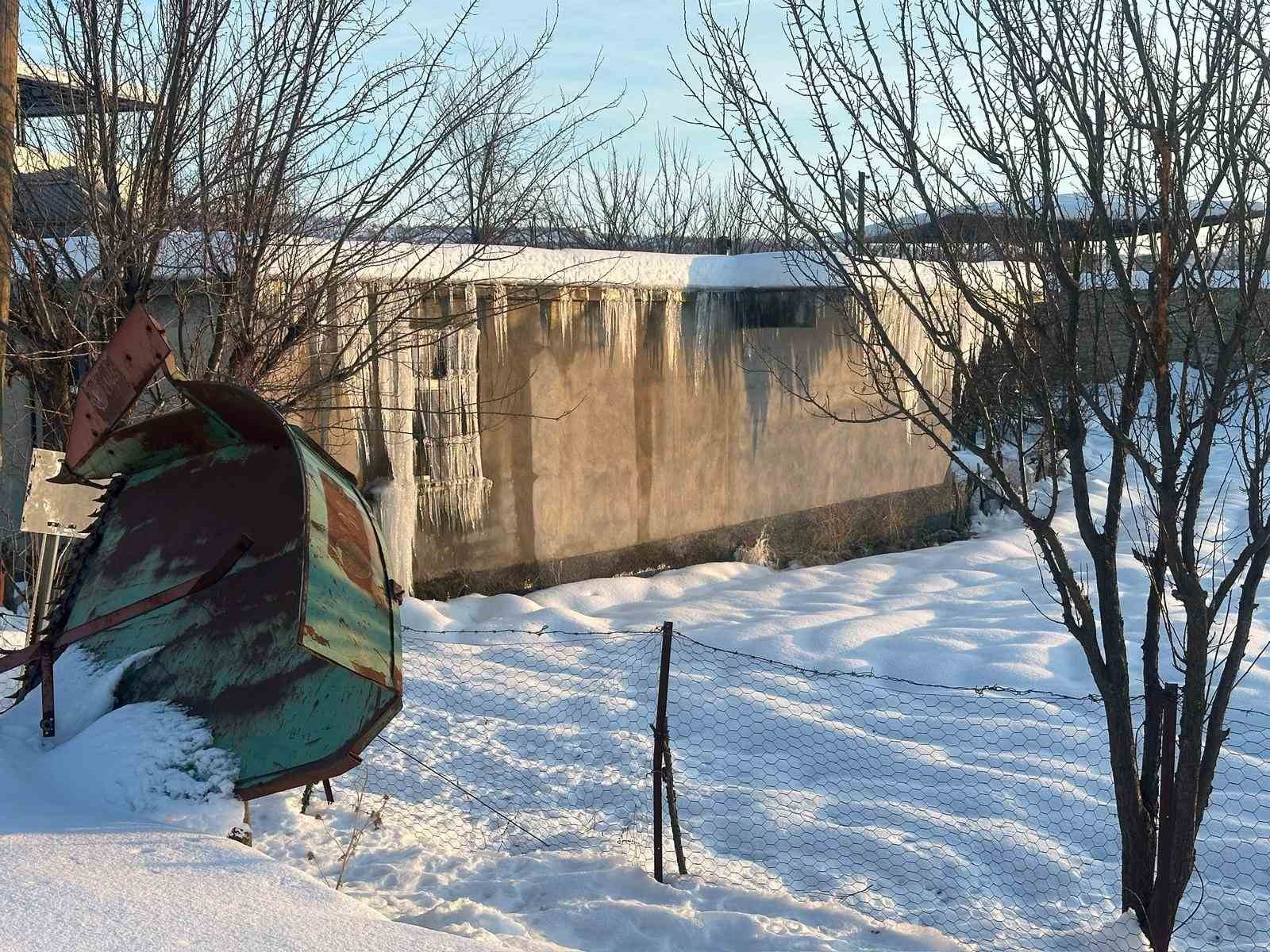 Kulp’ta dondurucu soğuk etkili oldu
