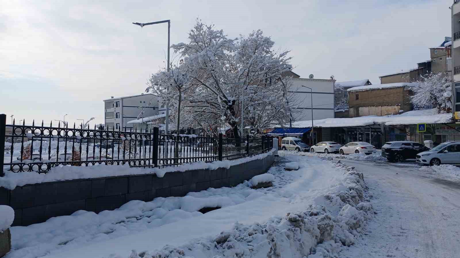 Kulp’ta kar manzaraları
