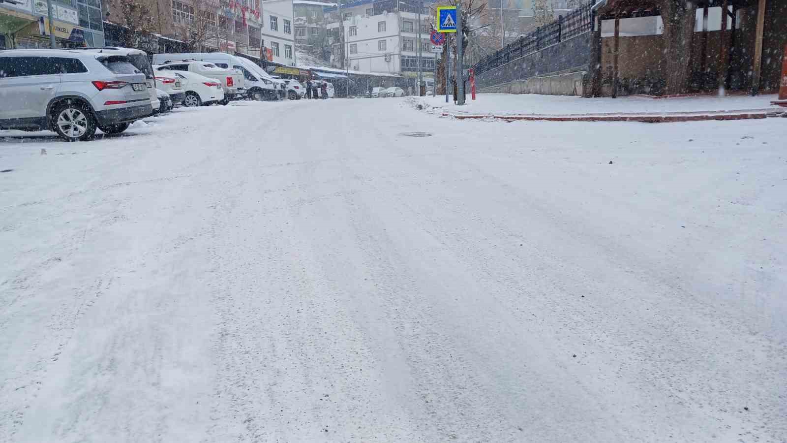 Kulp’ta kar nedeniyle yaşam durma noktasına geldi
