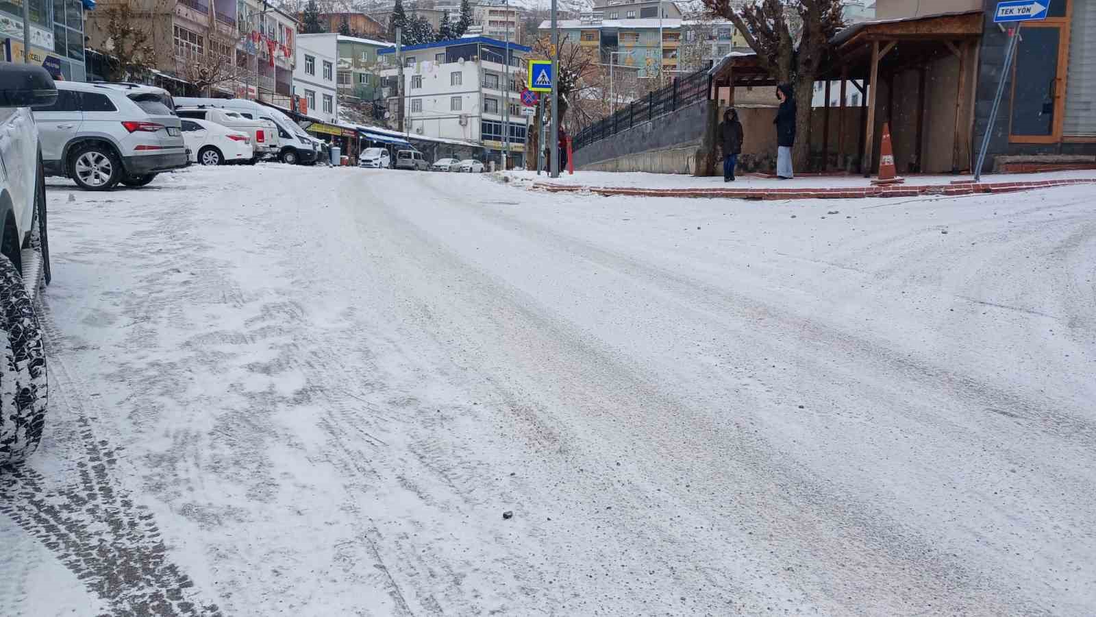 Kulp’ta kar nedeniyle yaşam durma noktasına geldi
