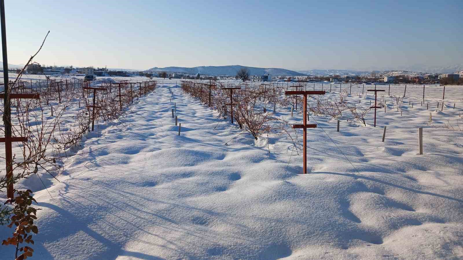 Kulp’ta kar yağışı çiftçiye umut oldu
