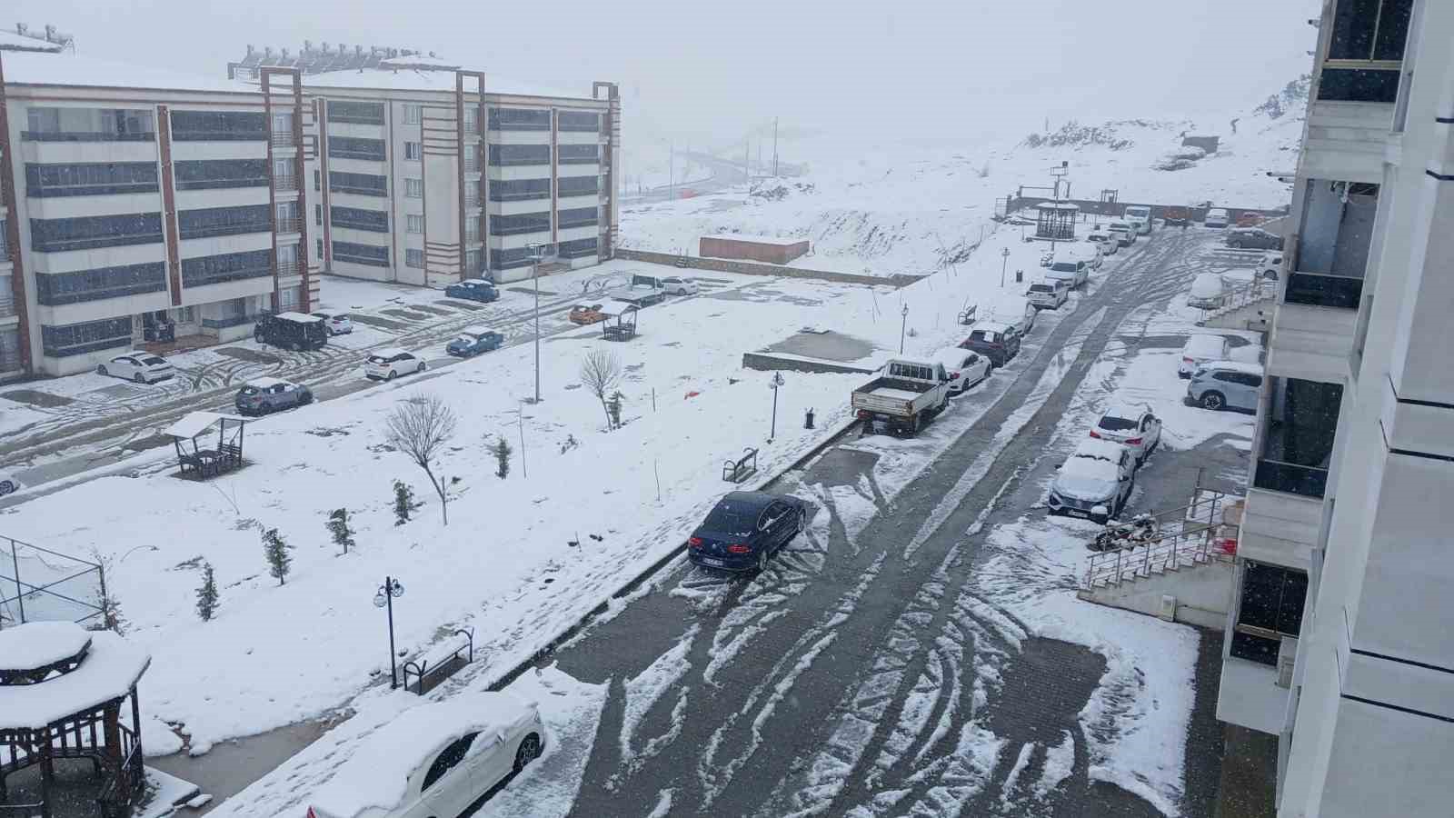 Kulp’ta kar yağışı etkili oldu, ilçe beyaza büründü
