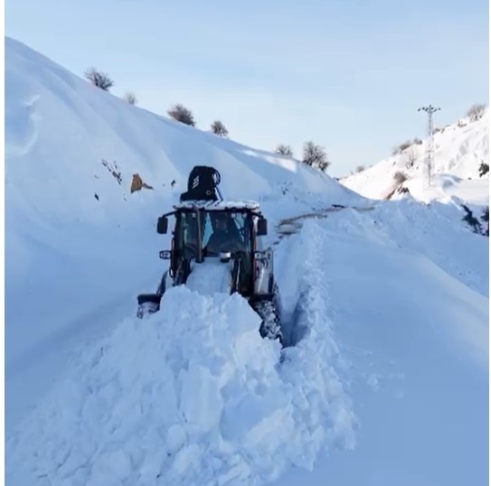 Kulp’ta kar yağışı görsel şölen oluşturdu
