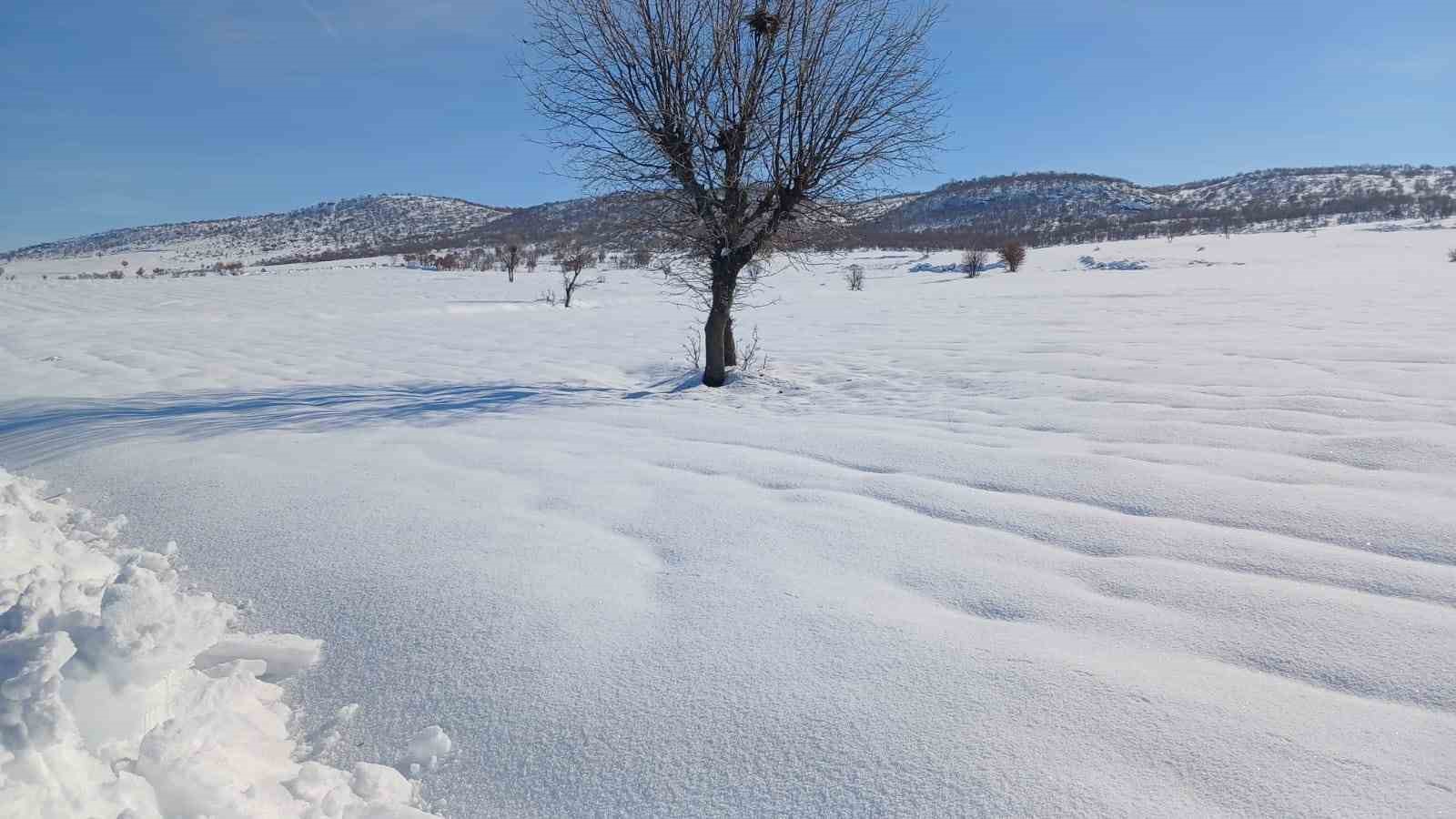 Kulp’ta kar yağışı görsel şölen oluşturdu
