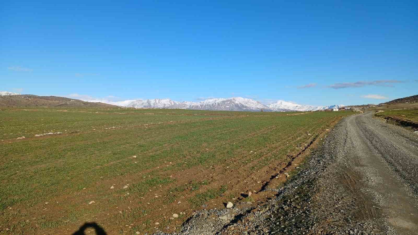 Kulp’ta yağışlar çiftçinin umudu arttı
