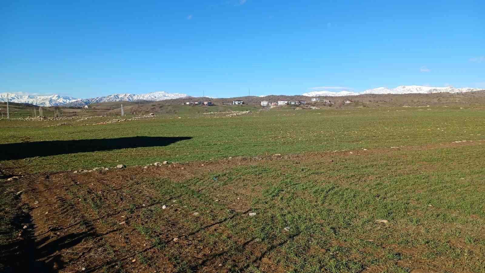 Kulp’ta yağışlar çiftçinin umudu arttı
