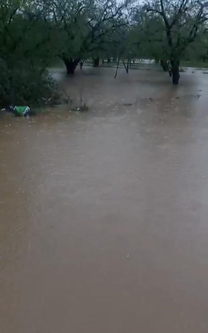 Kuraklığın ardından gelen sağanak İznik’i vurdu
