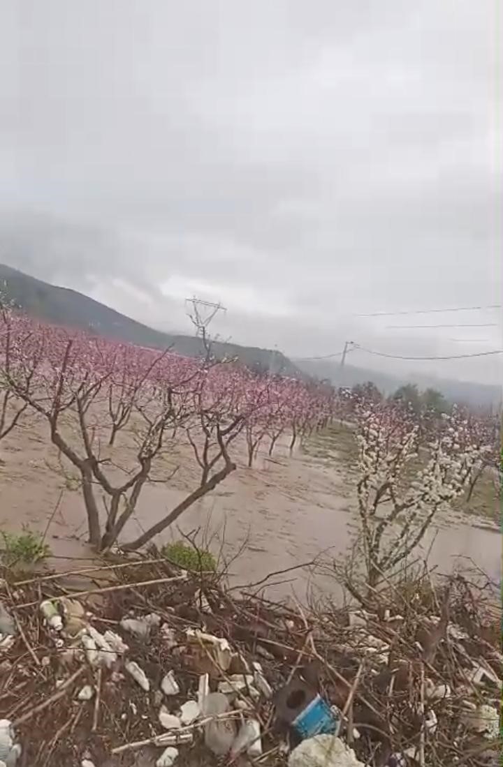 Kuraklığın ardından gelen sağanak İznik’i vurdu
