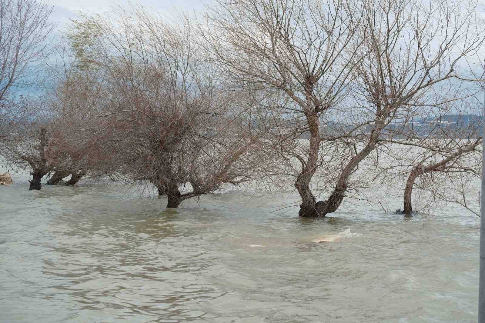 Kuraklıkla boğuşuyordu...Yağışlarla yeniden küçük Venedik oldu
