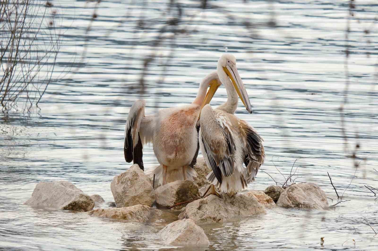 Kuraklıkla boğuşuyordu...Yağışlarla yeniden küçük Venedik oldu
