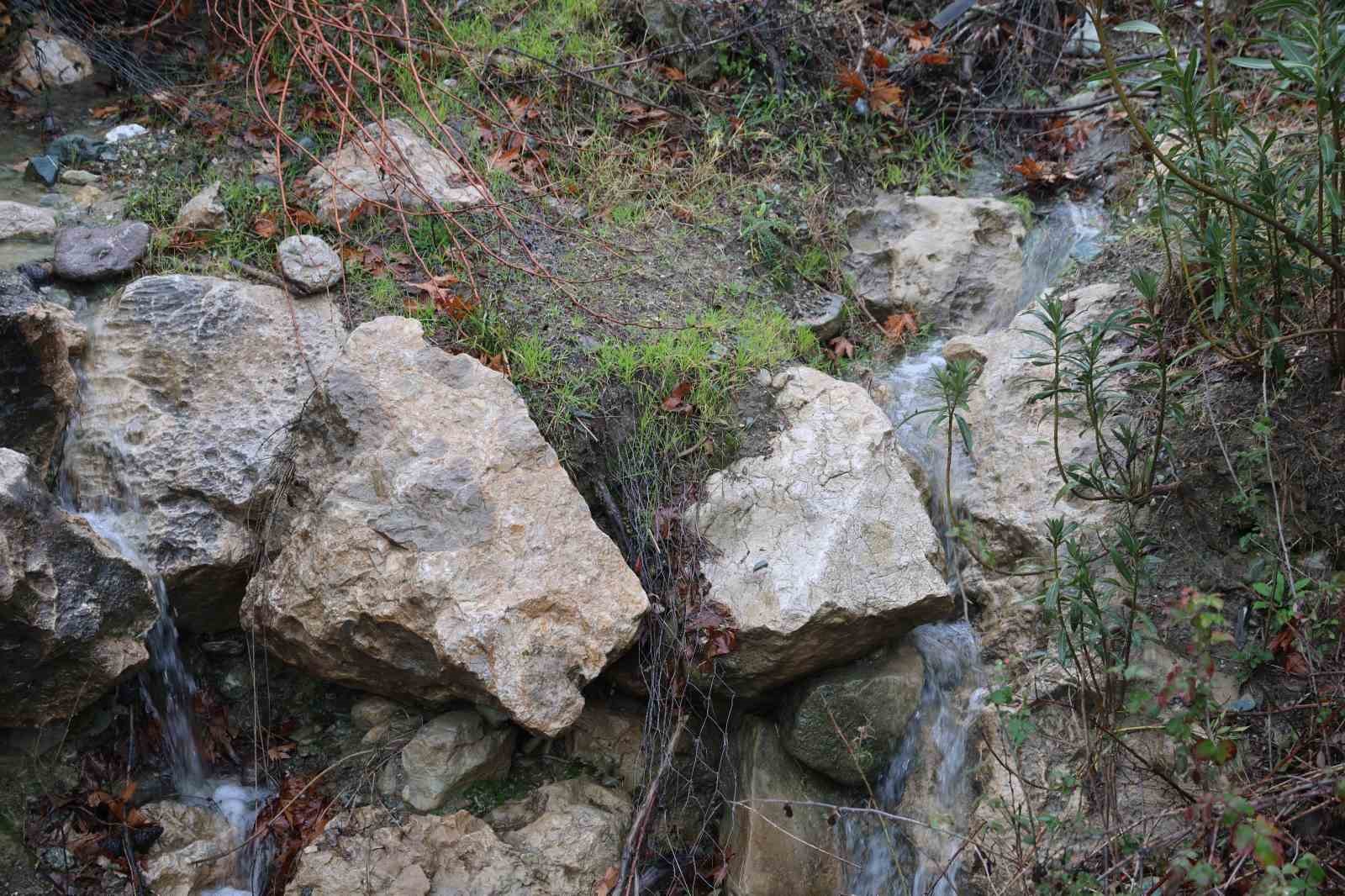 Kuraklıkla kuruyan Deliçay yeniden akmaya başladı, çiftçinin yüzü güldü
