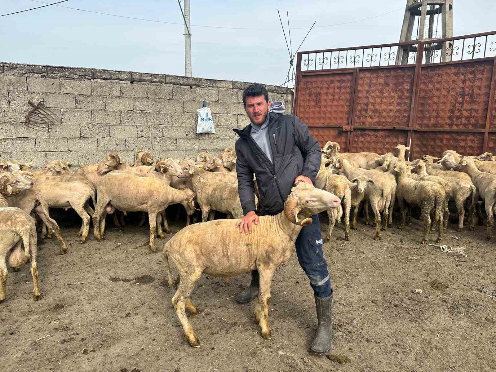 Kurbanlık parasıyla evlenmişti şimdi doğacak bebeği için kullanacak
