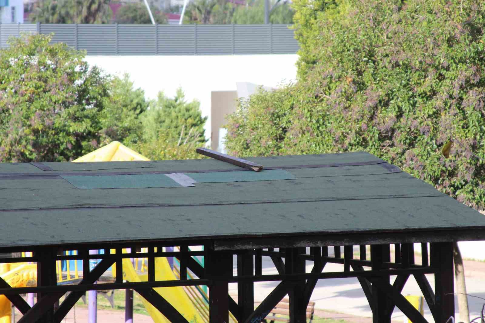 Kurt köpeklerinin saldırı anı kamerada: Küçük köpeği bulunan kadını yere düşürdüler
