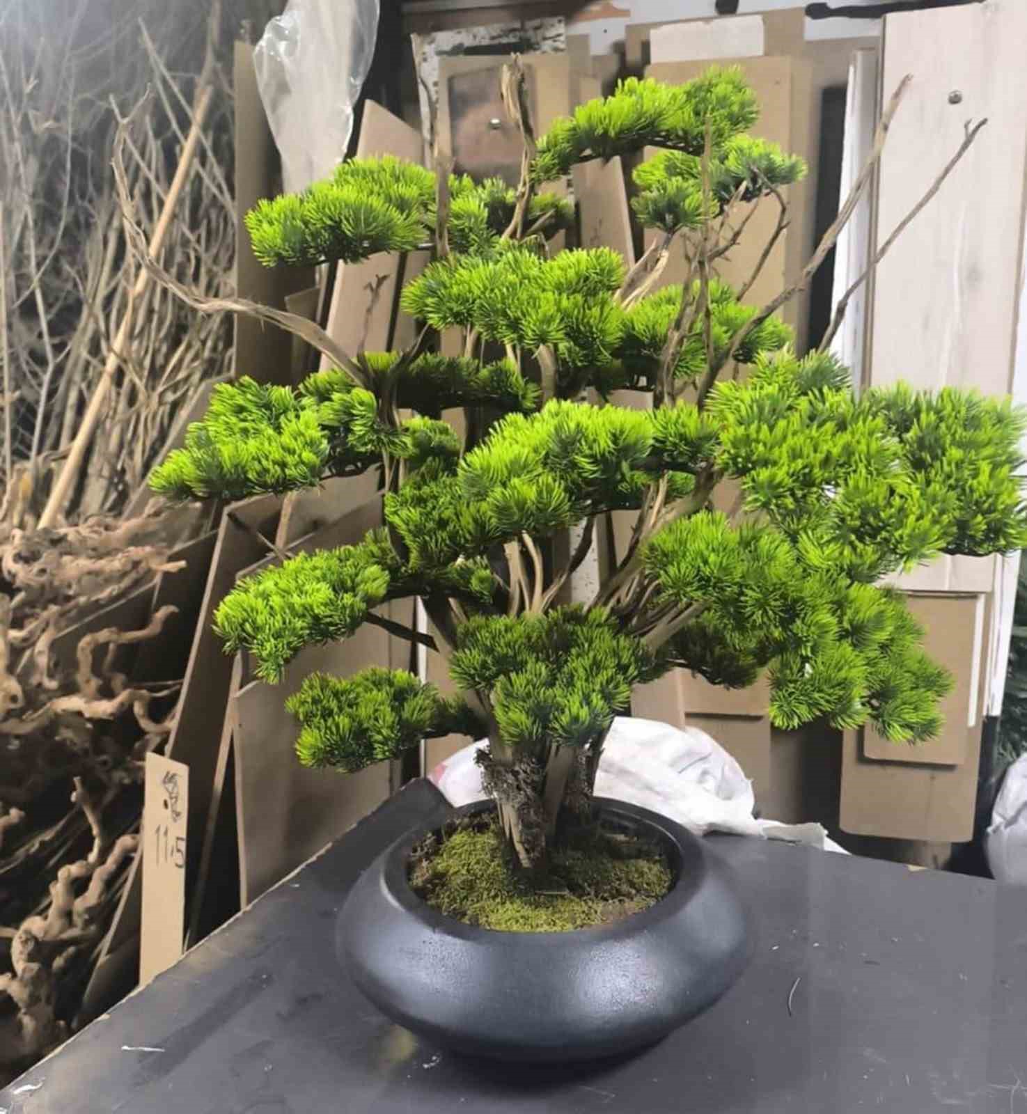 Kuru Geven köylünün gelir kaynağı oldu
